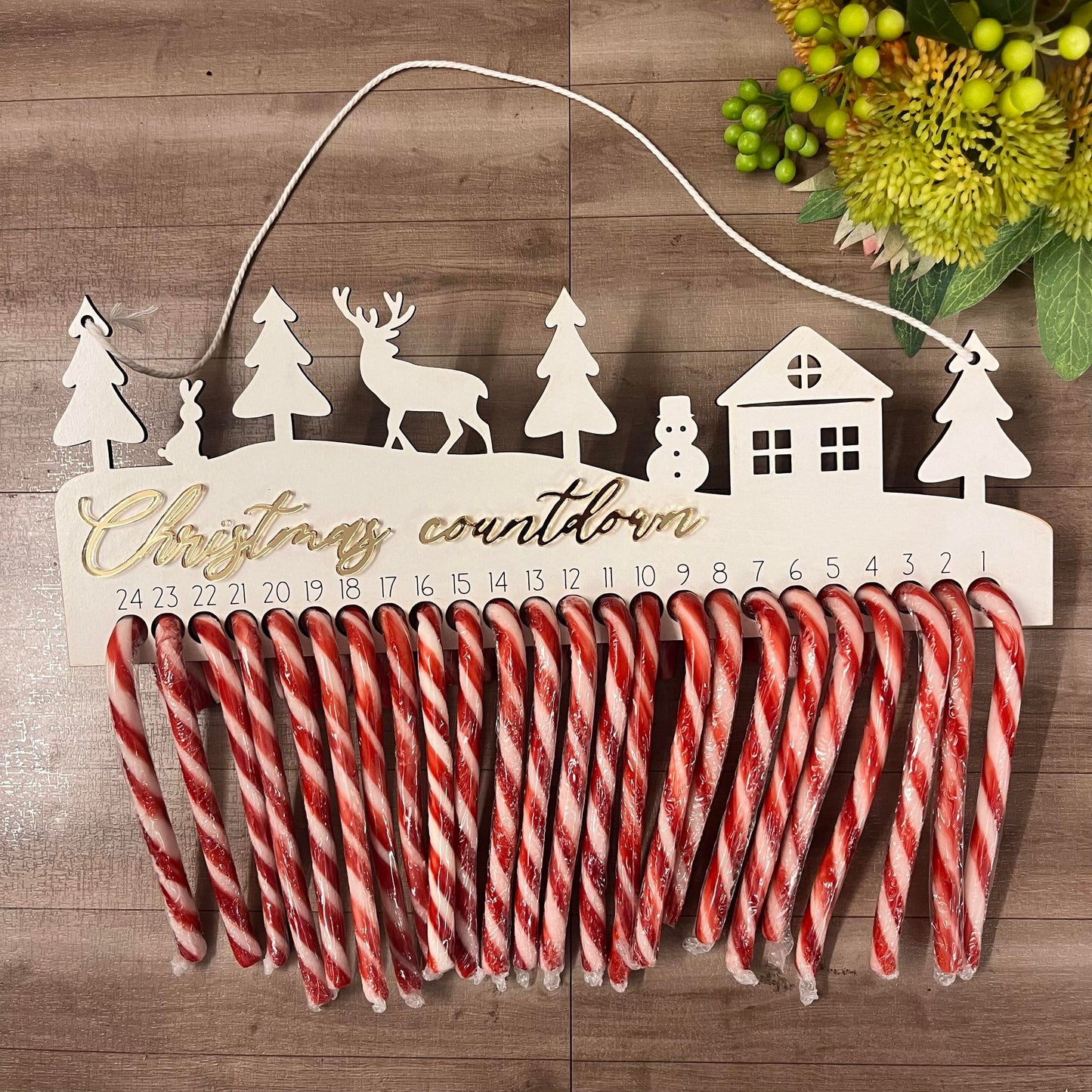 Budget Plus Candy Cane Christmas Countdown