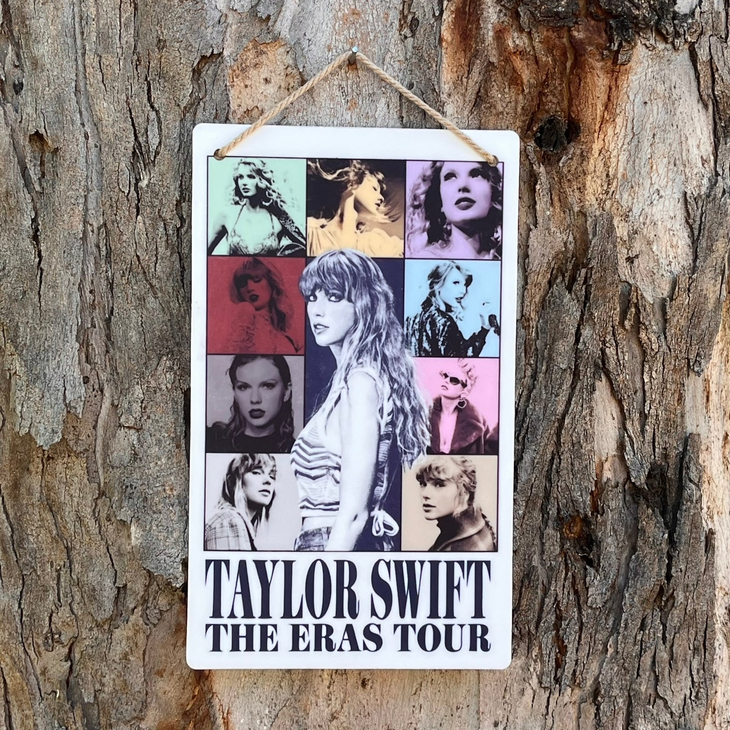 Taylor Swift Eras Tour Plaque