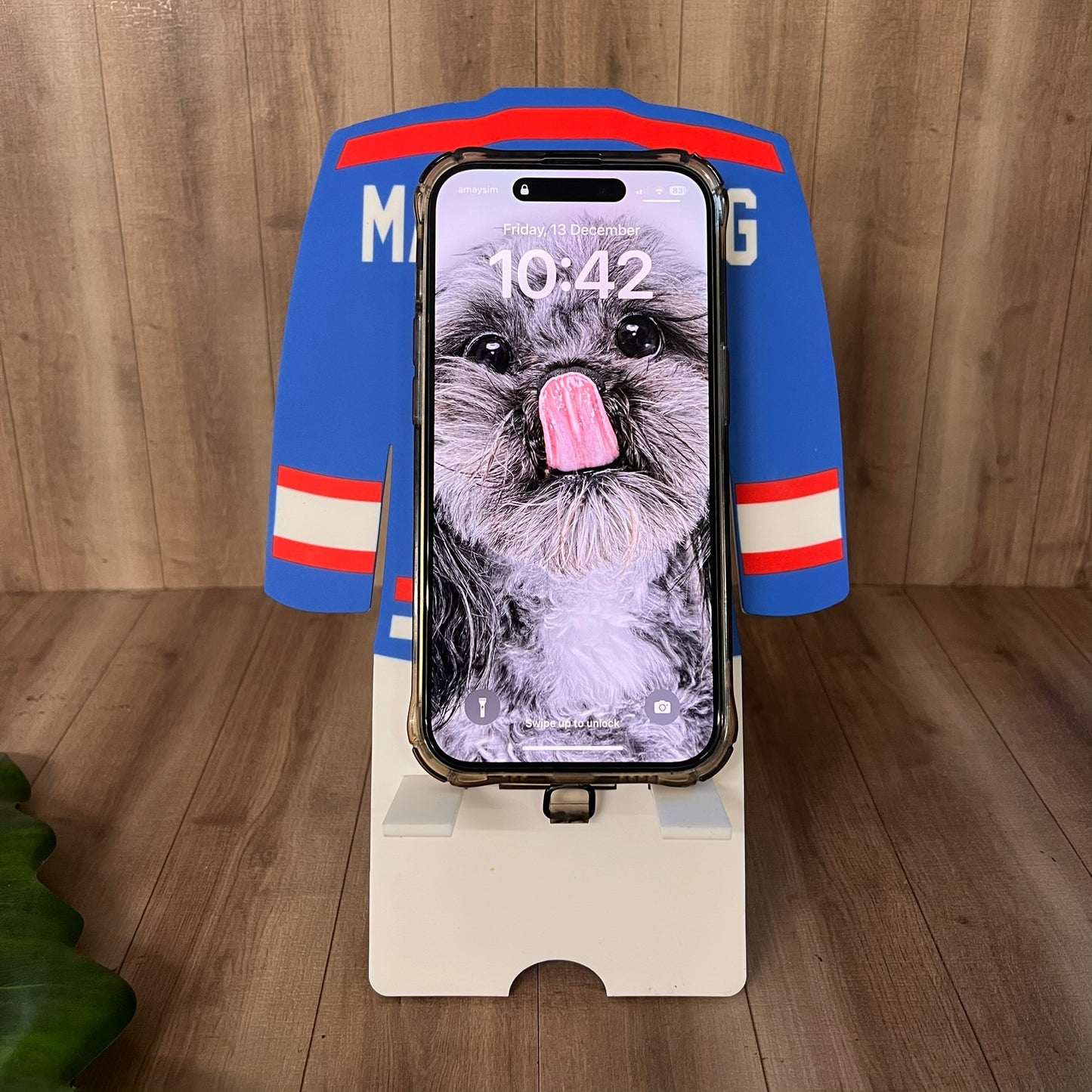 Newcastle Northstars Personalised Jersey Phone Stand