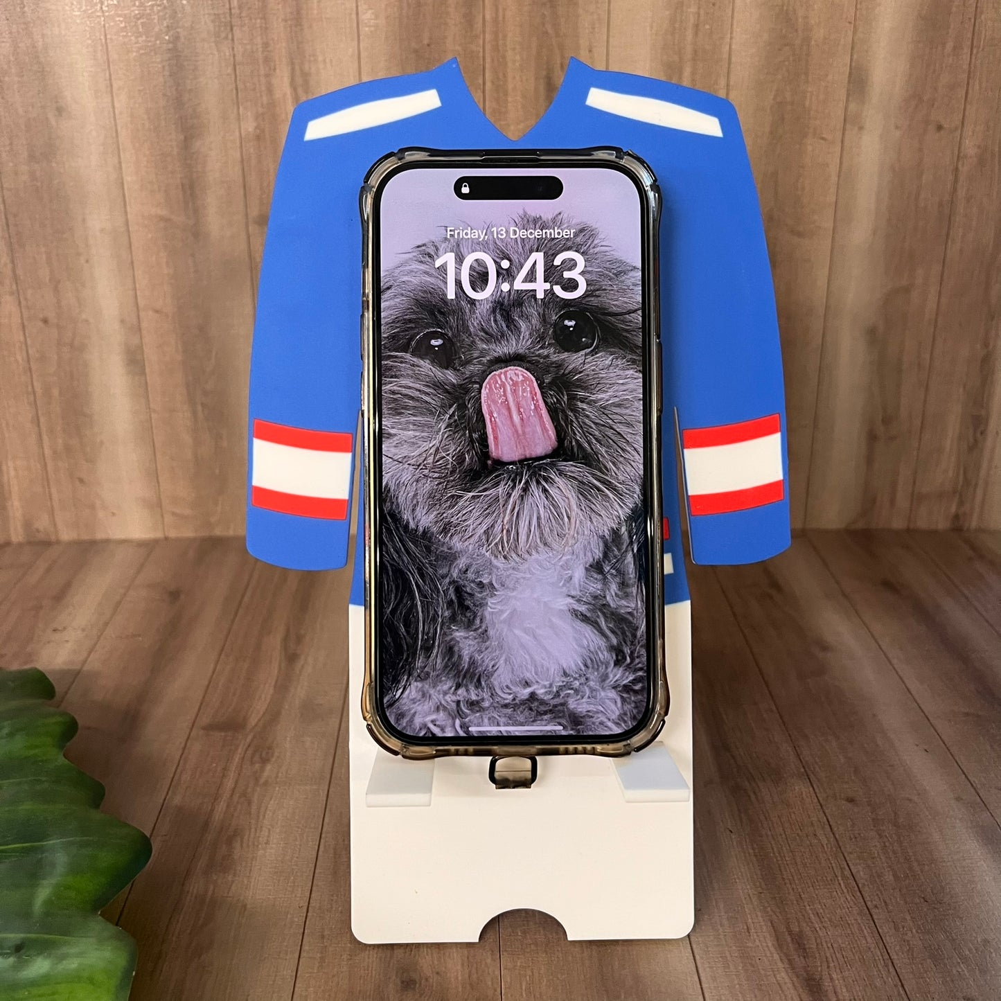 Newcastle Northstars Jersey Phone Stand