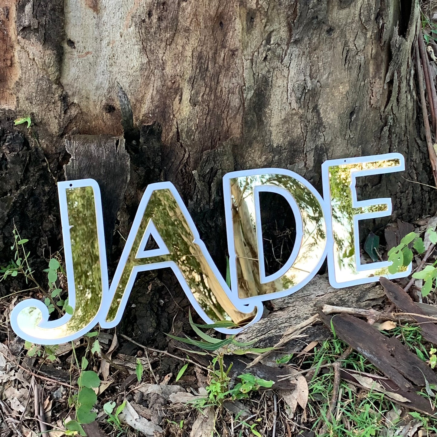 Double Layered Acrylic Name Plaques