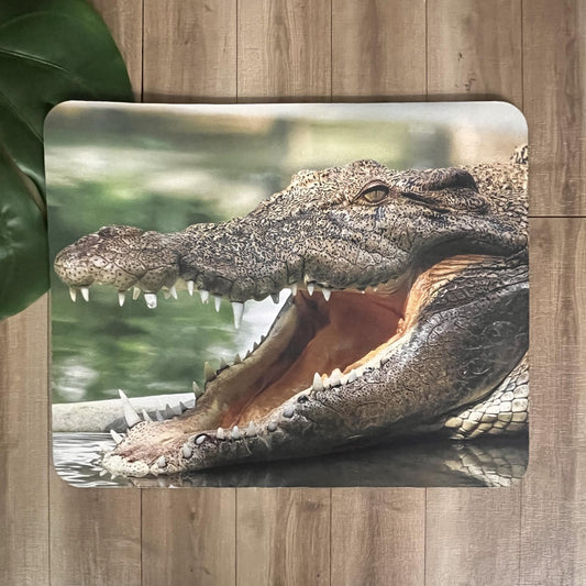 Crocodile Mouse Pad - Webster Enterprises