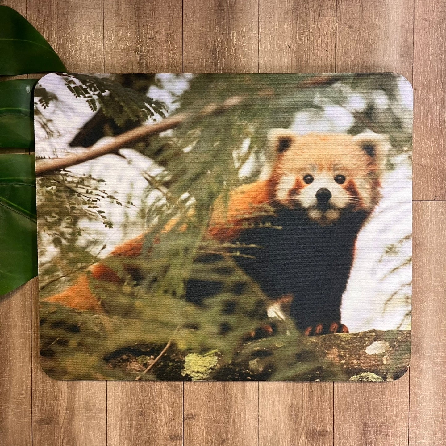 Red Panda Mouse Pad - Webster Enterprises